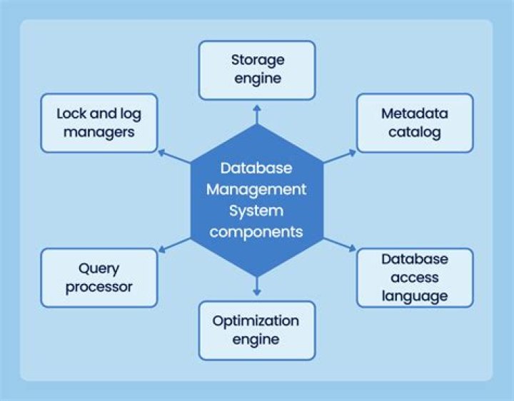 Which of the following are basic components of a database system?