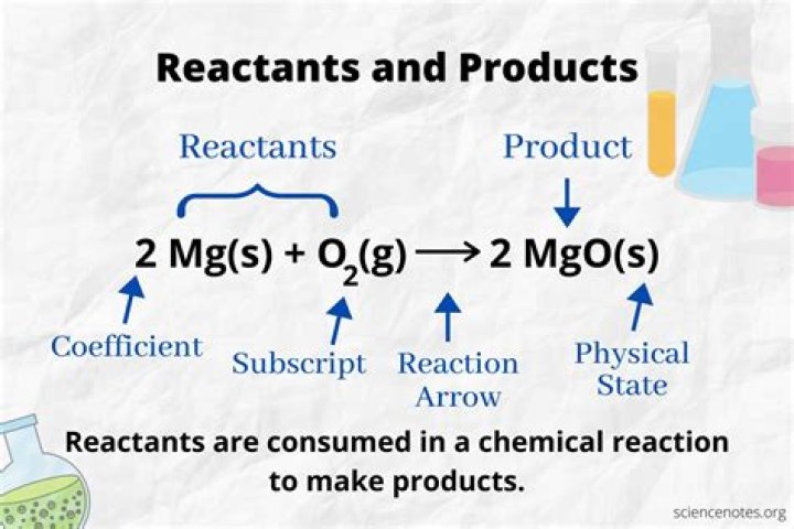 Which of these is a reactant in photosynthesis?