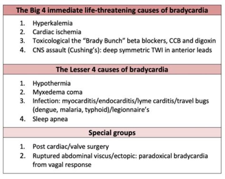 Which plant is most likely to cause Bradydysrhythmias?