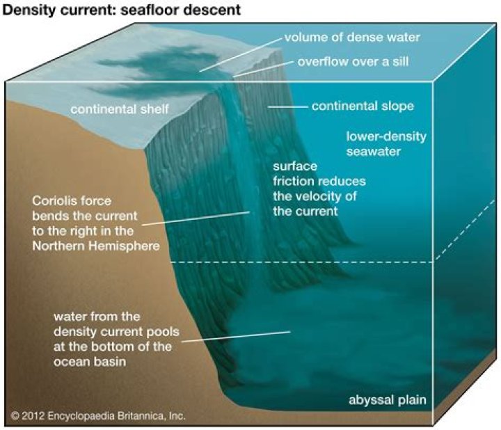 Which state of water is most dense?