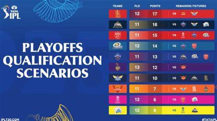 Which teams qualified in IPL 2019 playoffs?