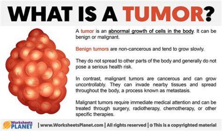 Which term means cancerous tumor?
