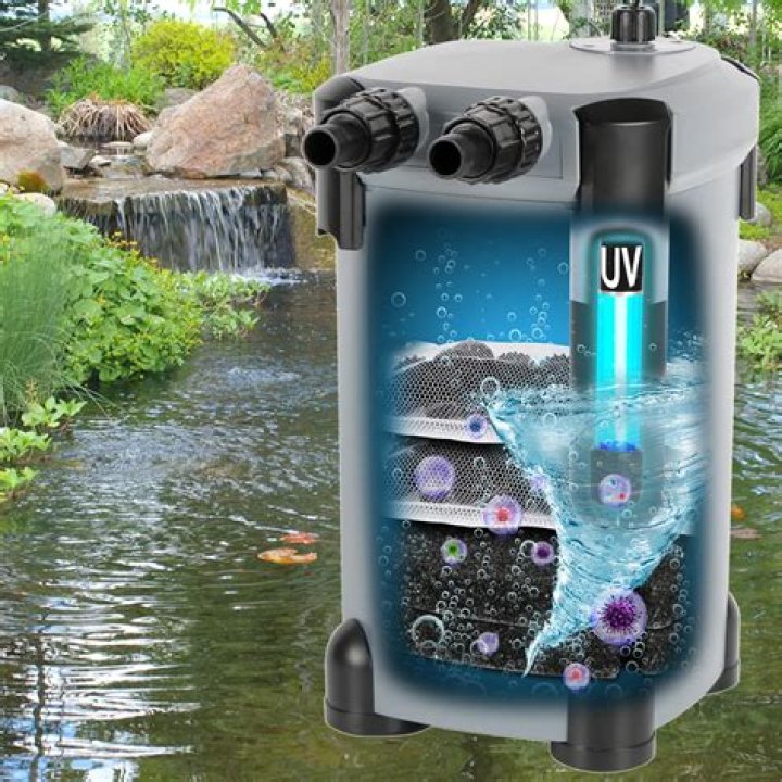 Which UV pond filter is the best?