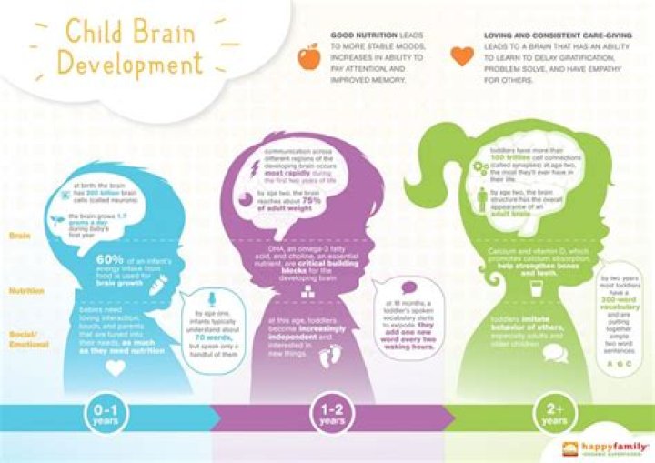 Which years are most critical for early brain development?