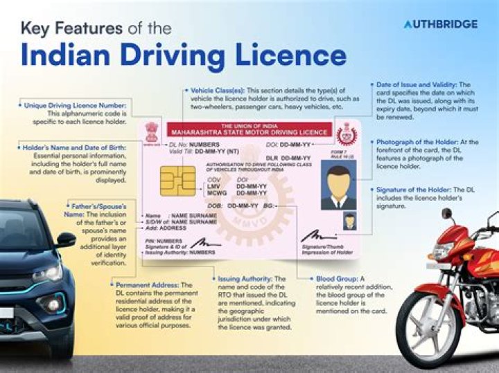 Who got first Aeroplane Licence in India?