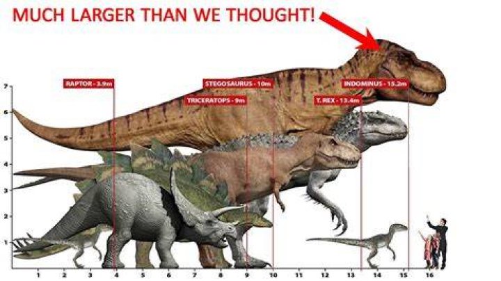 Who is bigger T rex or Allosaurus?