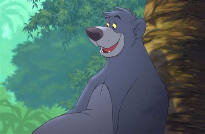 Who is the voice of the bear in jungle book?