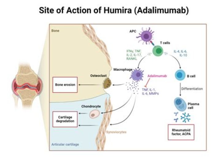 Who makes the drug Humira?