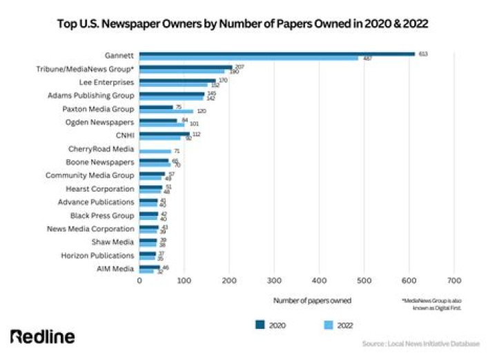 Who owns newspapers in USA?
