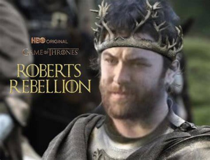 Who plays King Robert got?