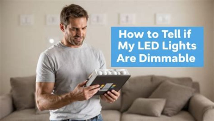 Why are my dimmable LED lights buzzing?