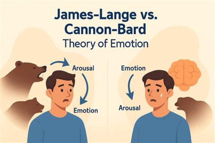 Why are the James Lange and Cannon Bard theories in disagreement?