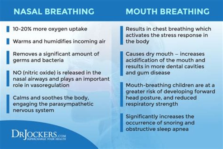 Why can I only breathe through one nostril at a time?
