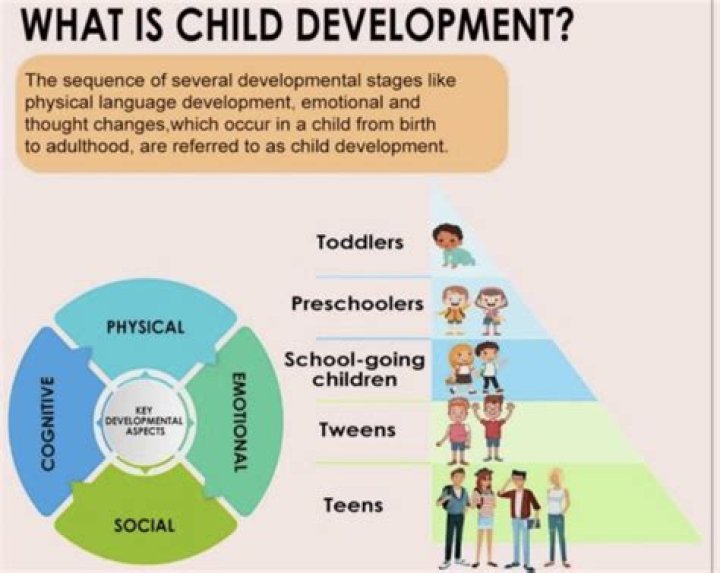 Why child development is important in the human development?