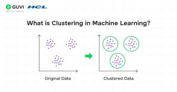 Why Clustering is important in data mining?