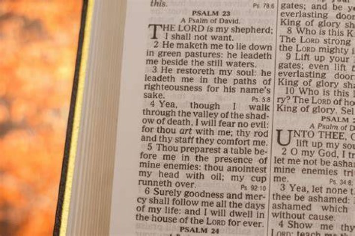 Why did David write 23 Psalms?