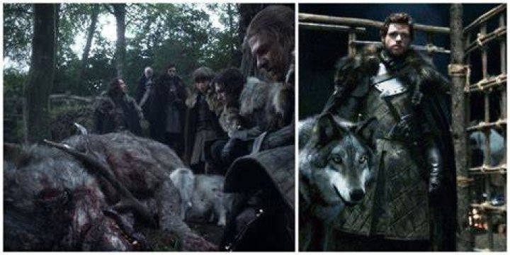 Why did they kill the Starks in Game of Thrones?