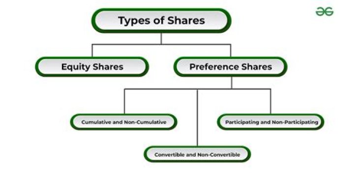 Why do company issue preference shares?