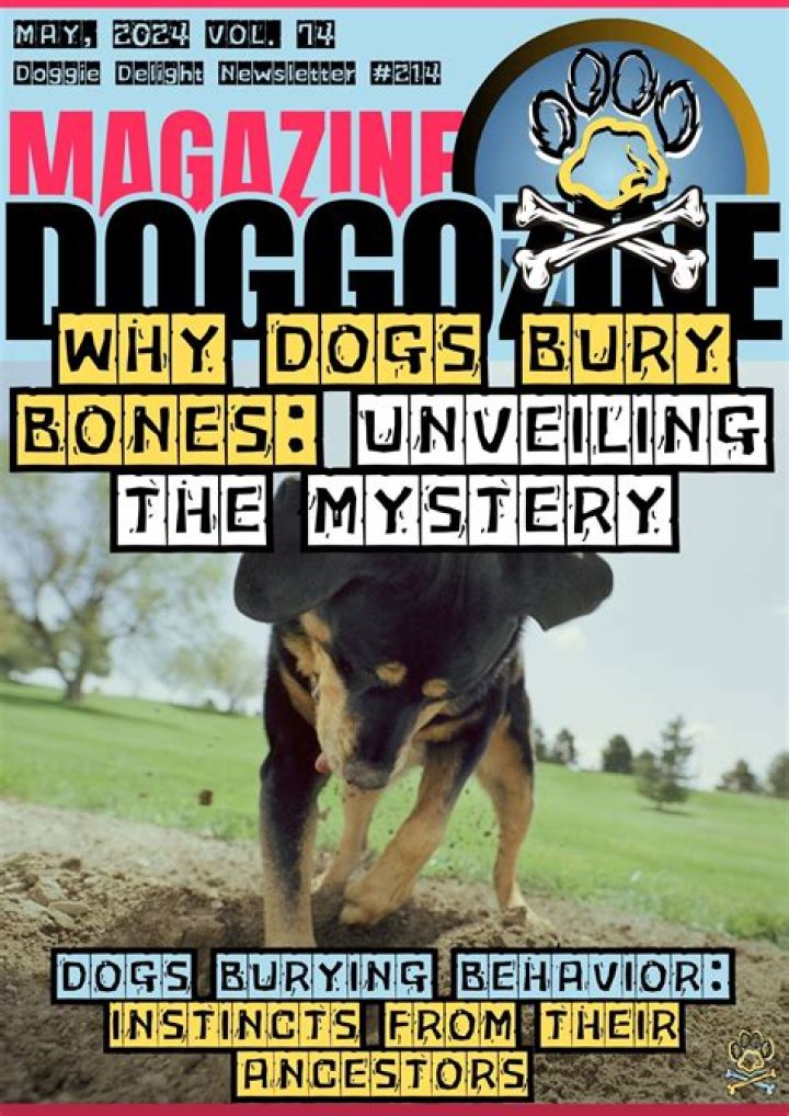 Why do dogs bury bones in the yard?