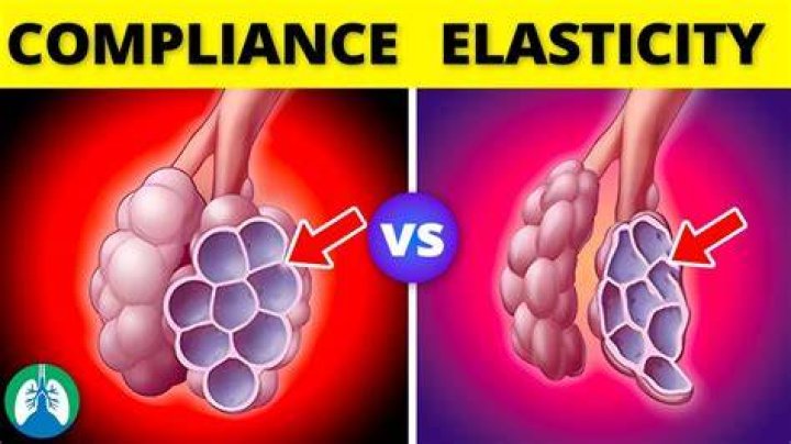 Why do lungs lose elasticity?