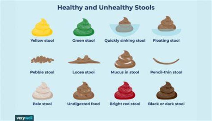 Why do my bowels smell so bad?