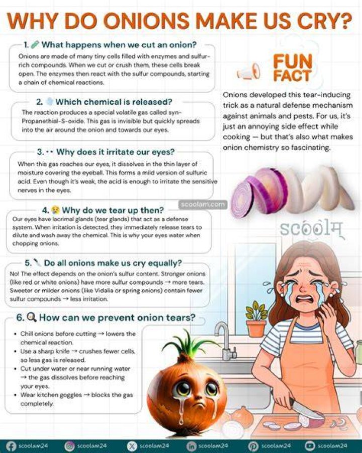 Why do onions burn eyes?