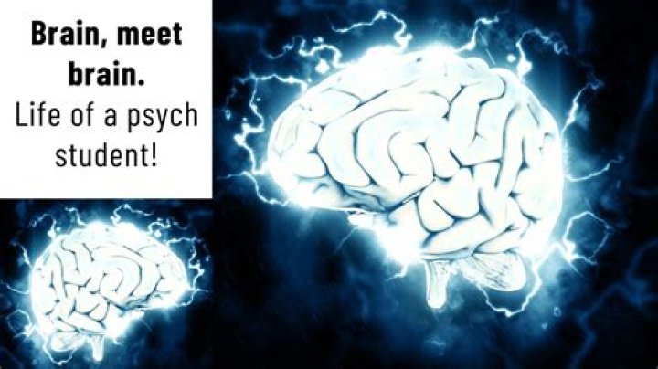 Why do we need to study the brain?