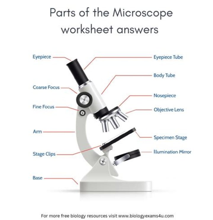 Why do you place one hand under the base of a microscope?