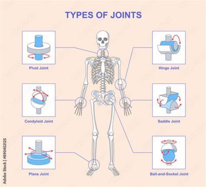 Why is a joint called an L?