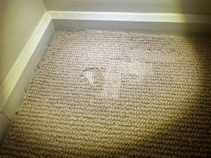 Why is carpet bad for you?