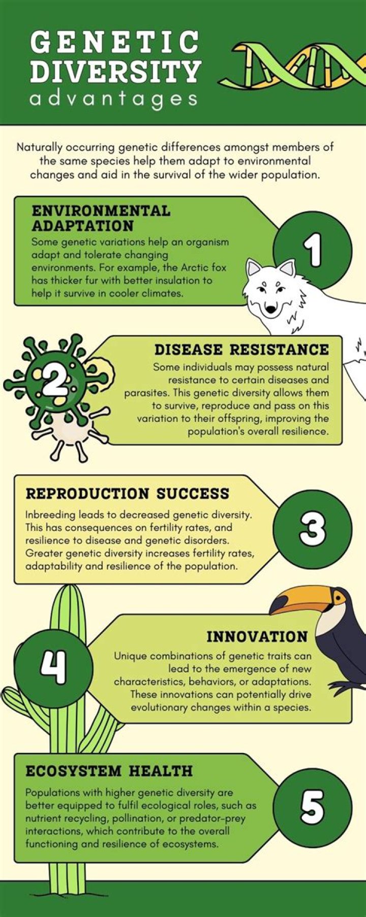 Why is genetic diversity an advantage?
