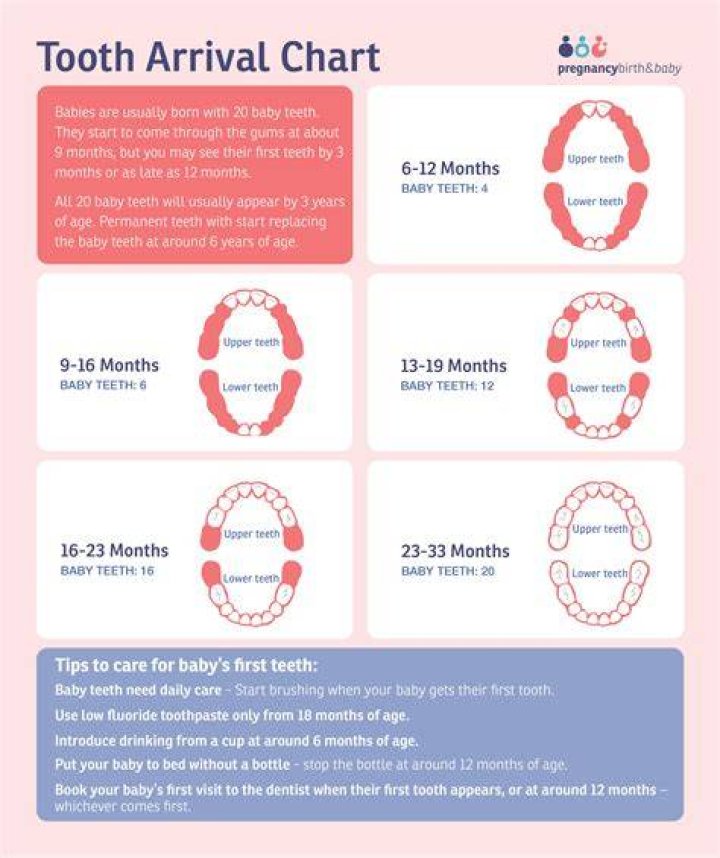 Why is my 10 month old grinding her teeth?