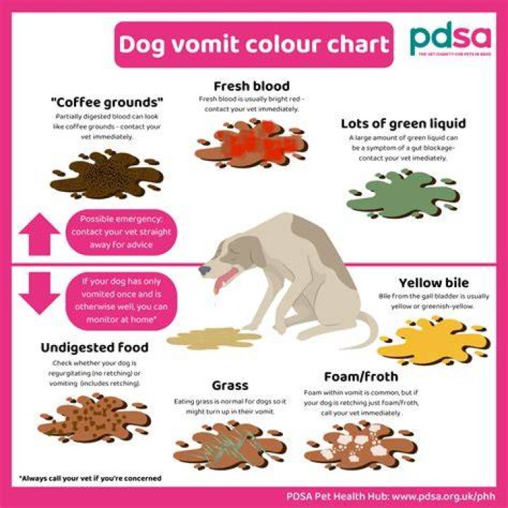Why is my dog having trouble eating?