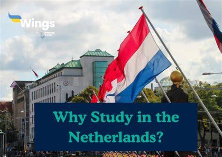 Why is Ned shortened Netherlands?