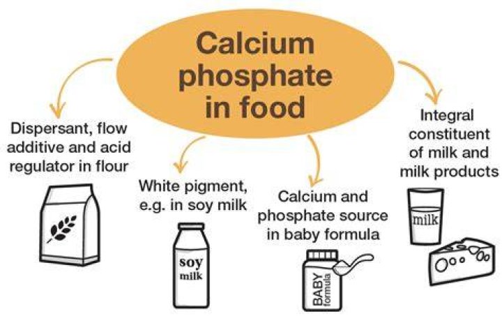 Why is phosphate important in DNA?