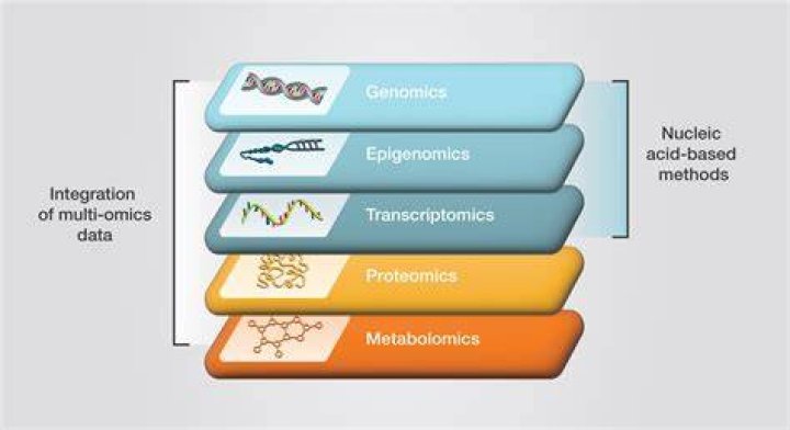 Why is proteomics better than genomics?
