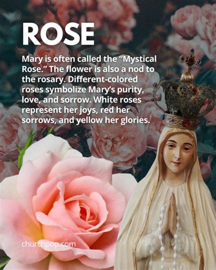 Why is the rose associated with Mary?