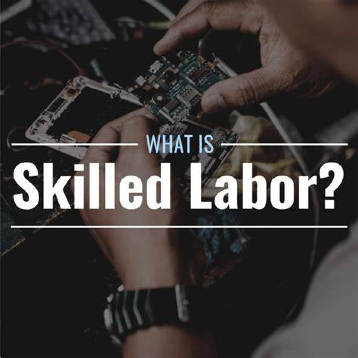 Why is the supply of professional labor generally lower than the supply of unskilled or semi skilled labor?