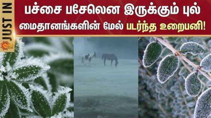 Why is there no snow in Ooty?