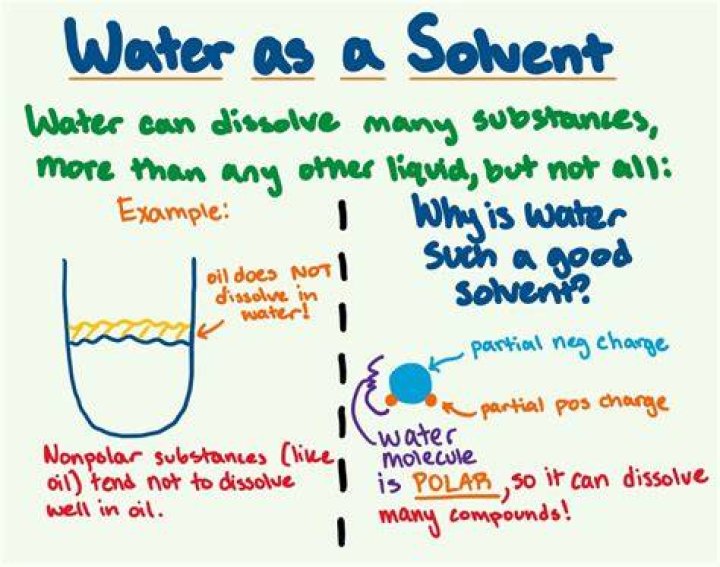 Why is water as a solvent important to life?