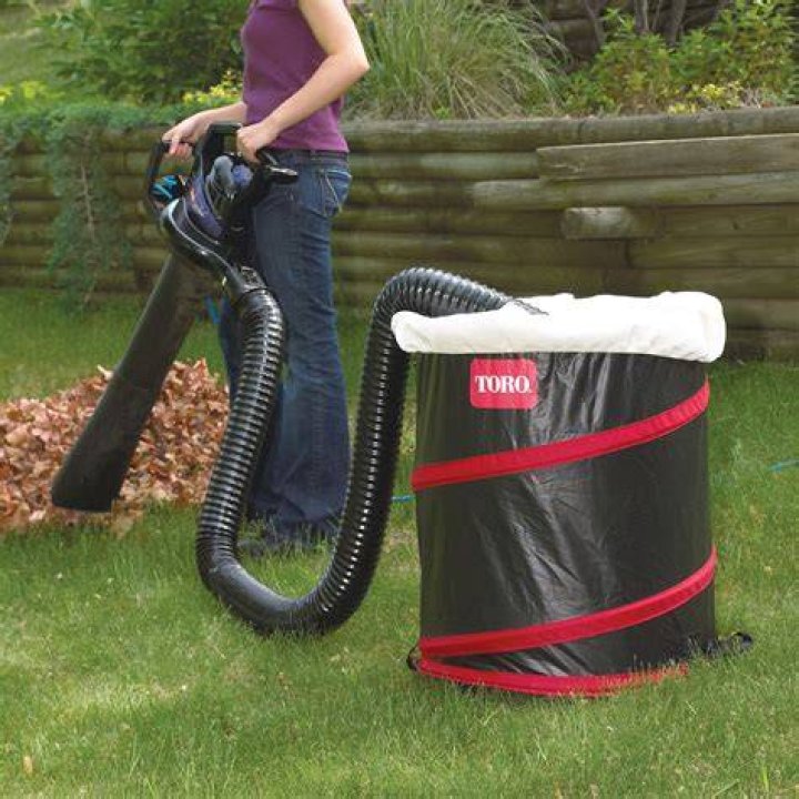 Will a leaf vacuum pick up stones?