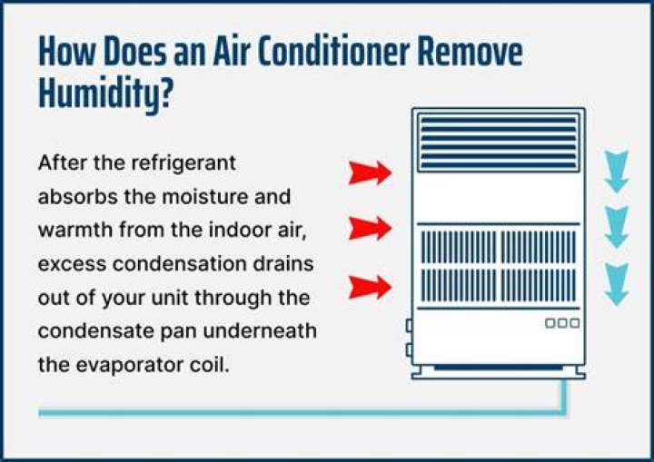 Will an ERV remove humidity?