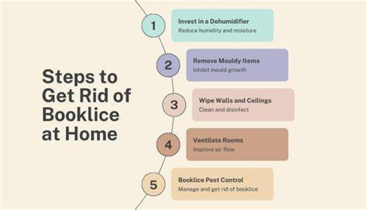 Will Heat kill Booklice? | ContextResponse.com