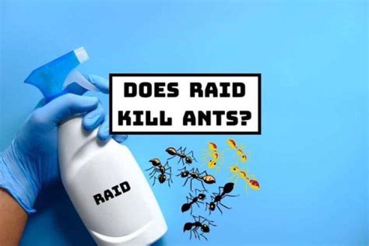 Will raid kill trees? | ContextResponse.com