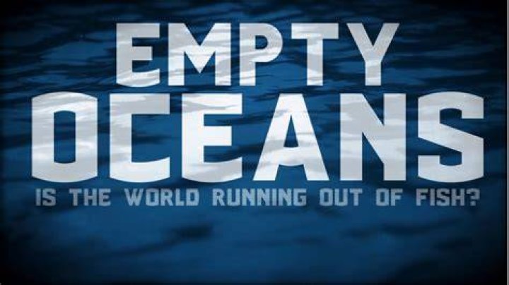 Will the ocean be empty by 2048?